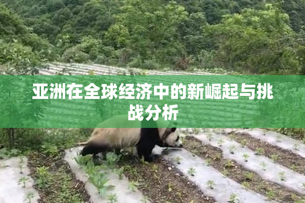 亚洲在全球经济中的新崛起与挑战分析