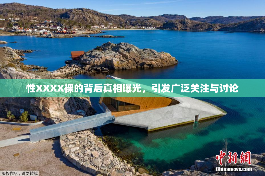 性XXXX裸的背后真相曝光，引发广泛关注与讨论