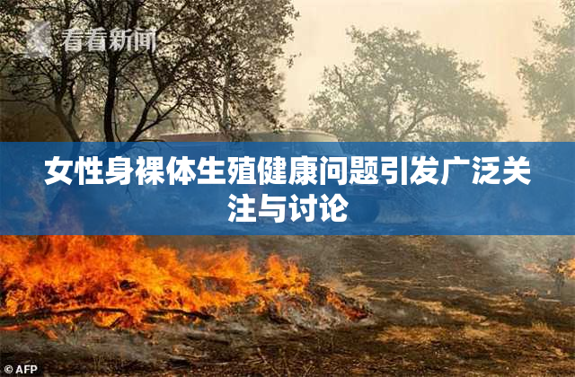 女性身裸体生殖健康问题引发广泛关注与讨论