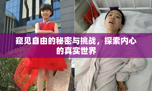 窥见自由的秘密与挑战，探索内心的真实世界