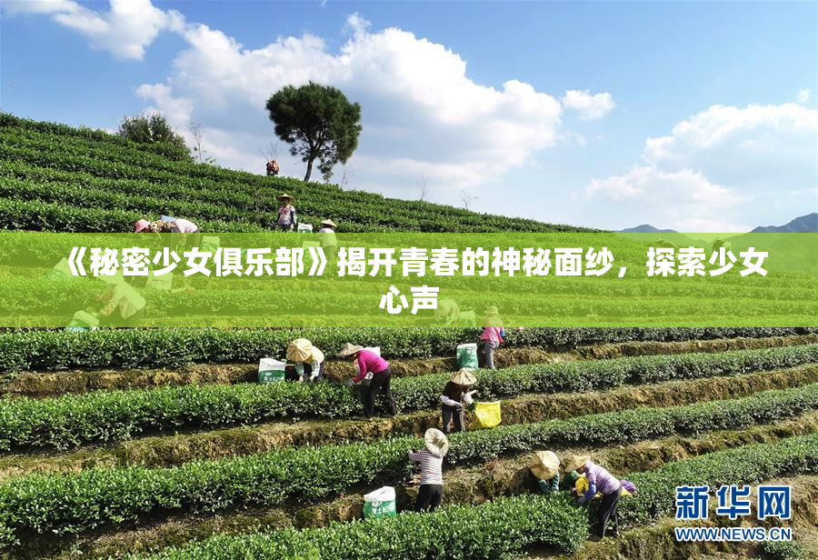 《秘密少女俱乐部》揭开青春的神秘面纱，探索少女心声