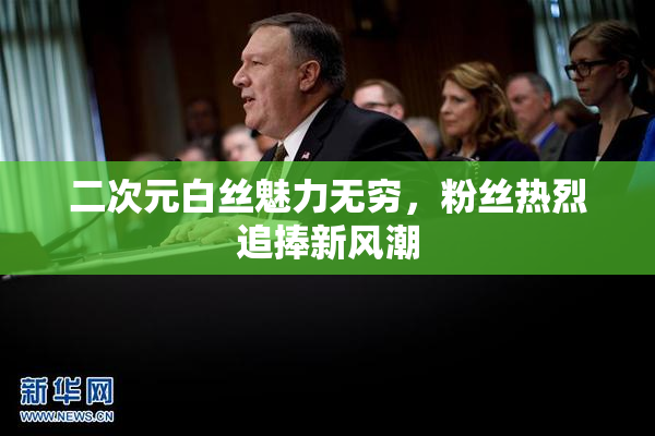 二次元白丝魅力无穷，粉丝热烈追捧新风潮