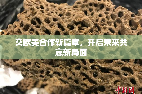 交欧美合作新篇章，开启未来共赢新局面