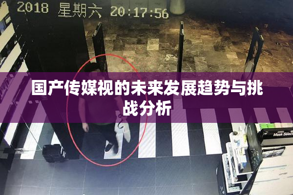 国产传媒视的未来发展趋势与挑战分析