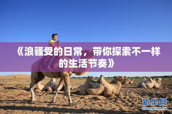 《浪骚受的日常，带你探索不一样的生活节奏》