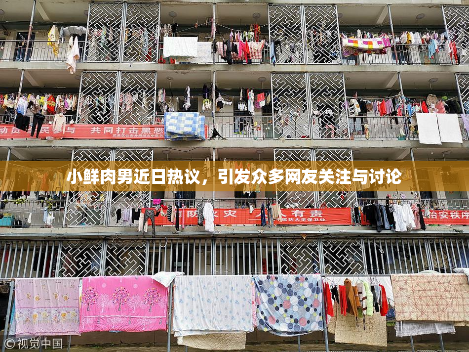 小鲜肉男近日热议，引发众多网友关注与讨论