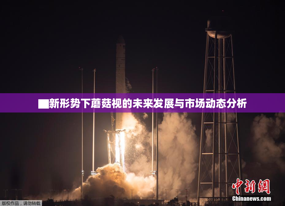 ▇新形势下蘑菇视的未来发展与市场动态分析