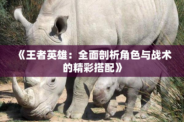 《王者英雄：全面剖析角色与战术的精彩搭配》