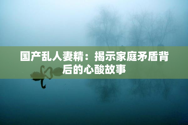 国产乱人妻精：揭示家庭矛盾背后的心酸故事