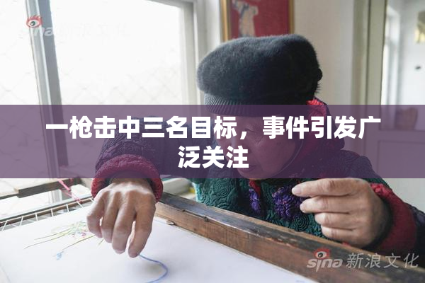 一枪击中三名目标，事件引发广泛关注
