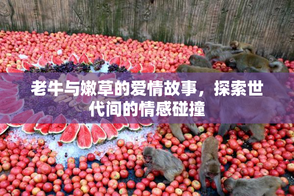 老牛与嫩草的爱情故事，探索世代间的情感碰撞