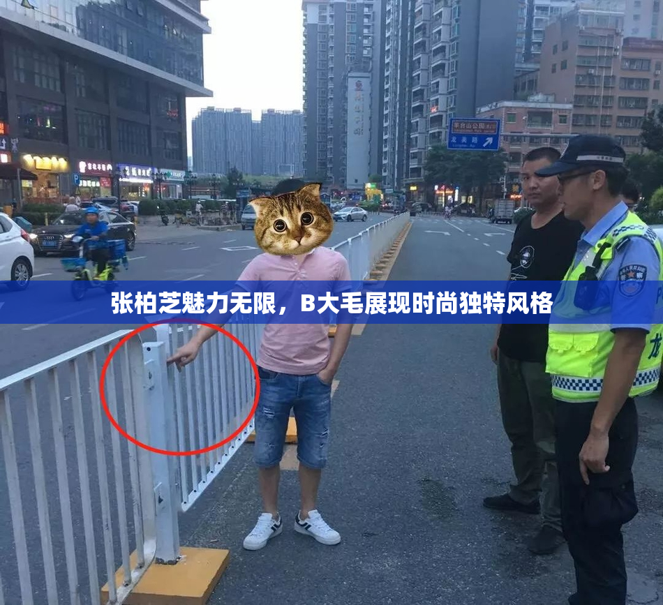 张柏芝魅力无限，B大毛展现时尚独特风格