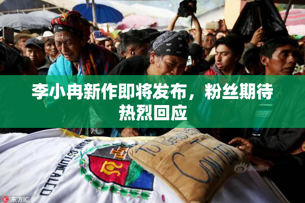 李小冉新作即将发布，粉丝期待热烈回应