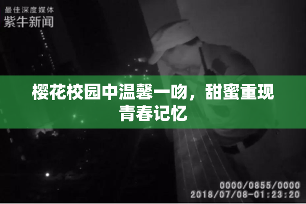 樱花校园中温馨一吻，甜蜜重现青春记忆