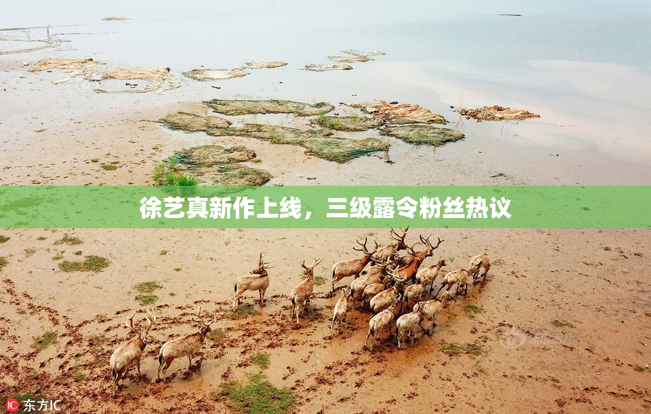 徐艺真新作上线，三级露令粉丝热议