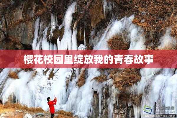 樱花校园里绽放我的青春故事