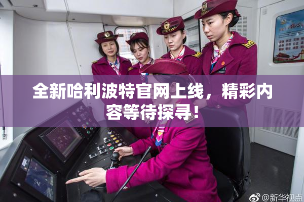 全新哈利波特官网上线，精彩内容等待探寻！