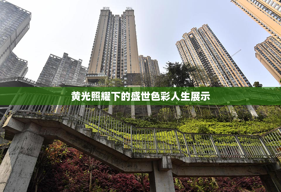 黄光照耀下的盛世色彩人生展示