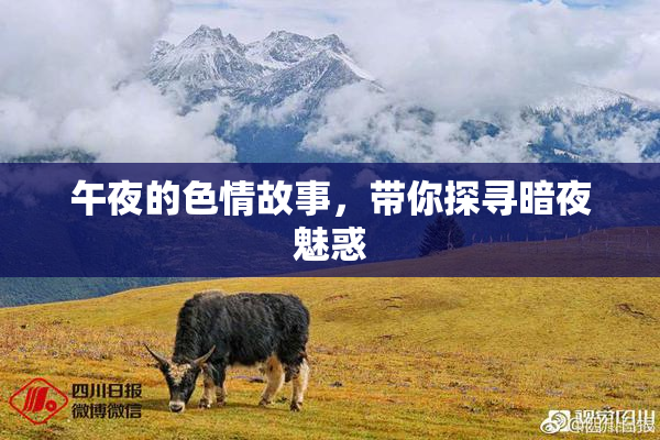 午夜的色情故事，带你探寻暗夜魅惑
