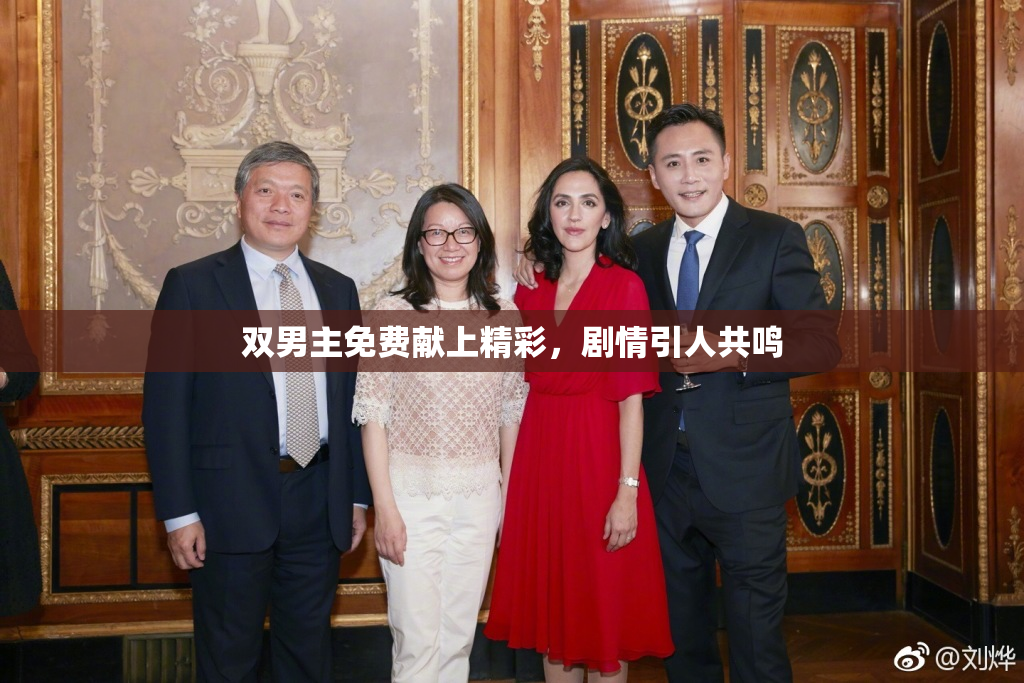 双男主免费献上精彩，剧情引人共鸣