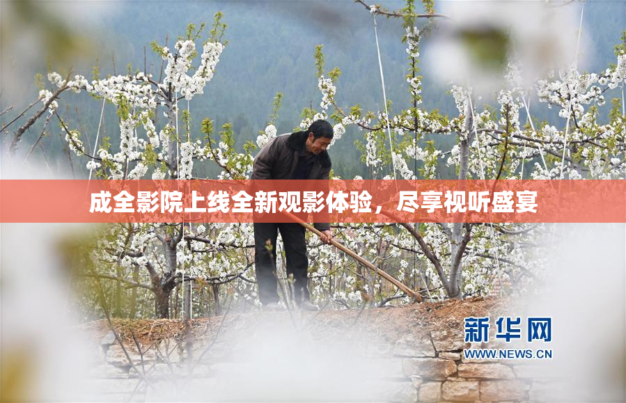 成全影院上线全新观影体验，尽享视听盛宴