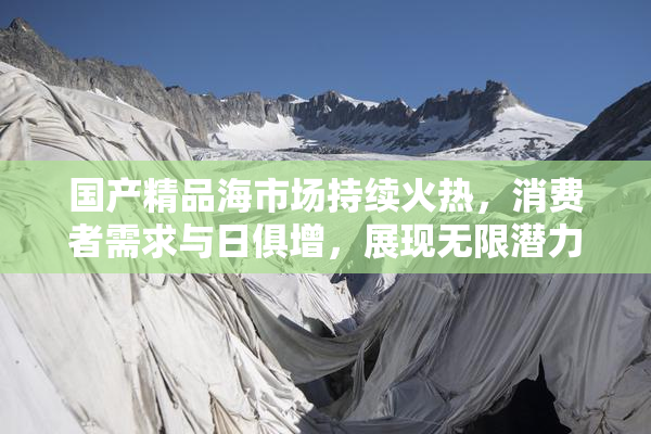 国产精品海市场持续火热，消费者需求与日俱增，展现无限潜力。