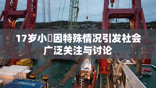 17岁小泬因特殊情况引发社会广泛关注与讨论