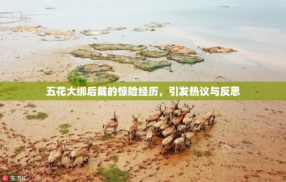 五花大绑后戴的惊险经历，引发热议与反思