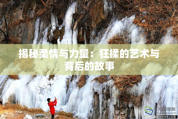 揭秘柔情与力量：狂揉的艺术与背后的故事