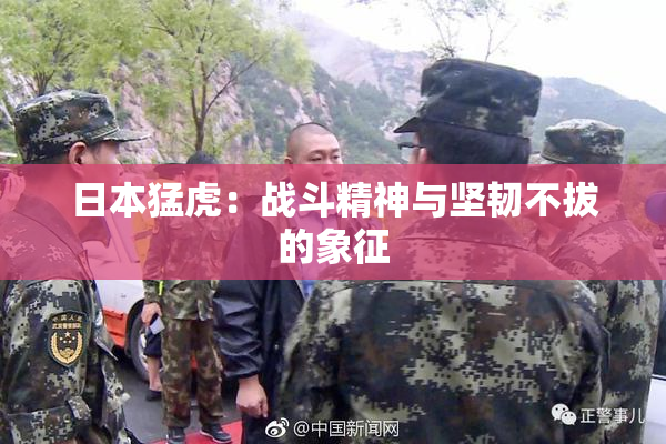 日本猛虎：战斗精神与坚韧不拔的象征