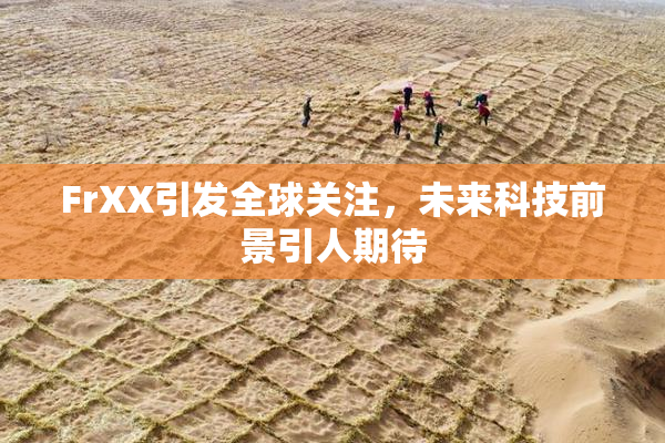 FrXX引发全球关注，未来科技前景引人期待