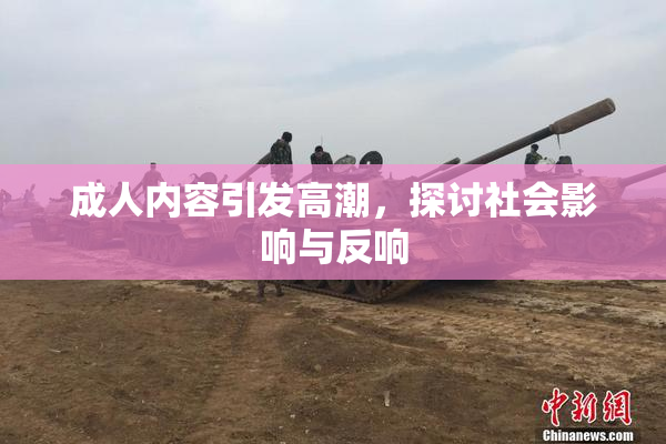 成人内容引发高潮，探讨社会影响与反响