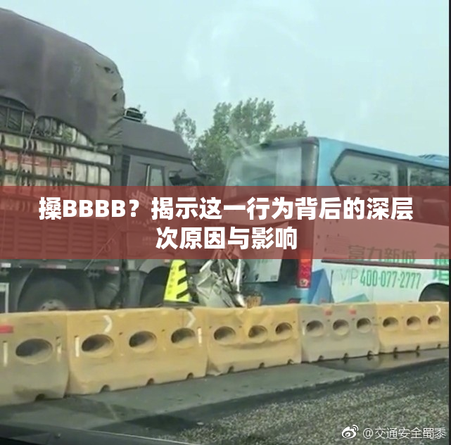 搡BBBB？揭示这一行为背后的深层次原因与影响