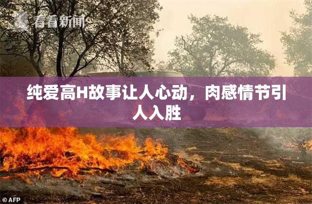 纯爱高H故事让人心动，肉感情节引人入胜