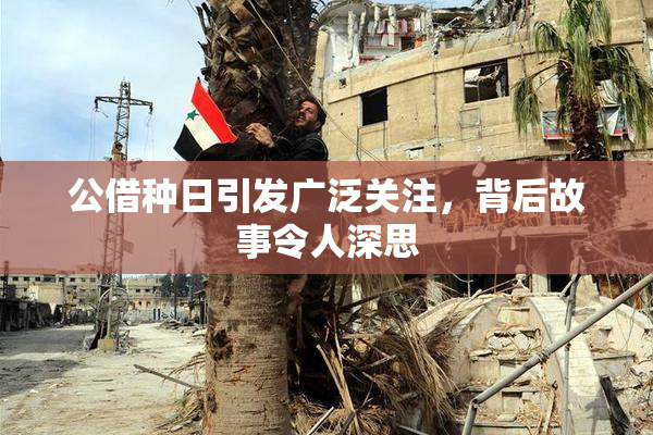 公借种日引发广泛关注，背后故事令人深思