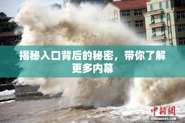 揭秘入口背后的秘密，带你了解更多内幕
