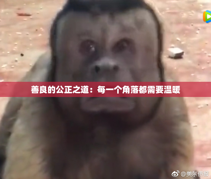 善良的公正之道：每一个角落都需要温暖
