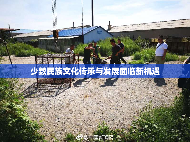 少数民族文化传承与发展面临新机遇