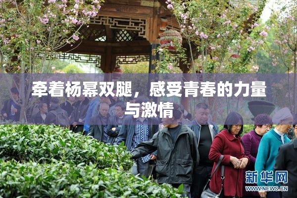 牵着杨幂双腿，感受青春的力量与激情