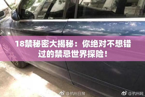18禁秘密大揭秘：你绝对不想错过的禁忌世界探险！