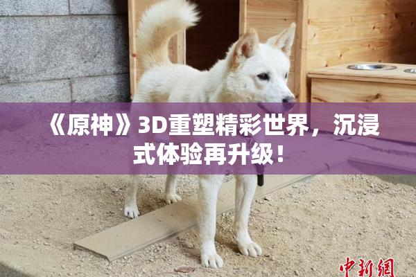 《原神》3D重塑精彩世界，沉浸式体验再升级！
