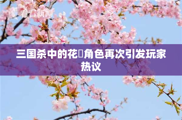 三国杀中的花鬘角色再次引发玩家热议