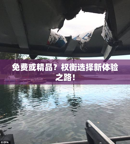 免费或精品？权衡选择新体验之路！