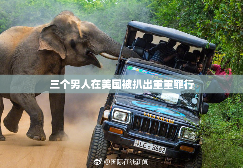 三个男人在美国被扒出重重罪行