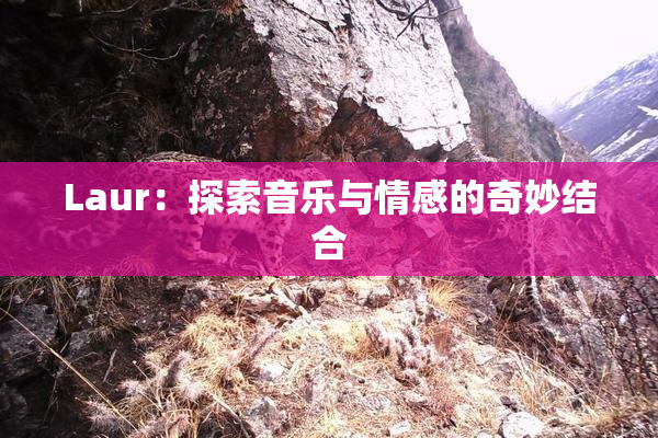 Laur：探索音乐与情感的奇妙结合