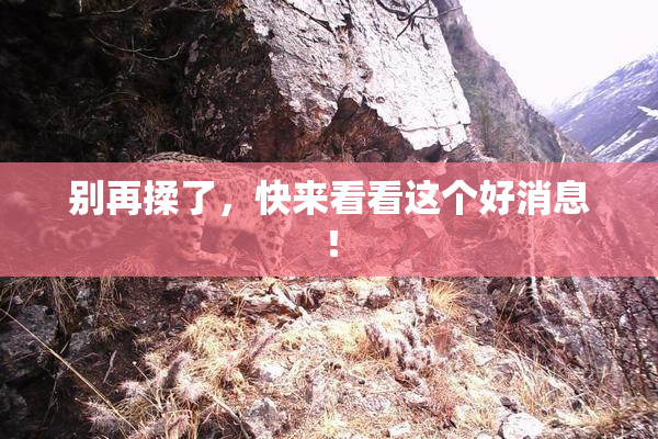 别再揉了，快来看看这个好消息！