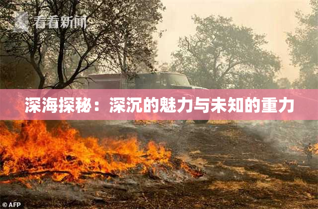 深海探秘：深沉的魅力与未知的重力