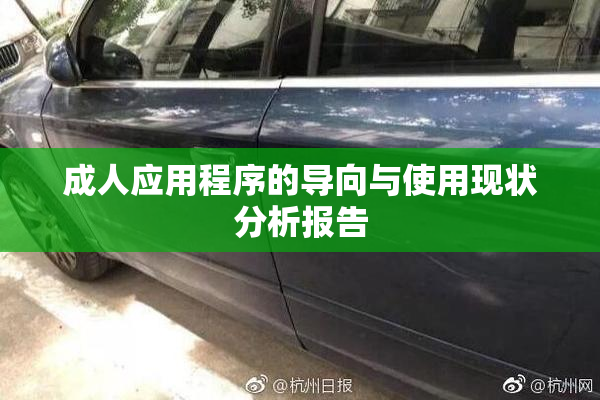 成人应用程序的导向与使用现状分析报告