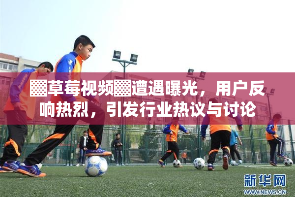 ▓草莓视频▓遭遇曝光，用户反响热烈，引发行业热议与讨论