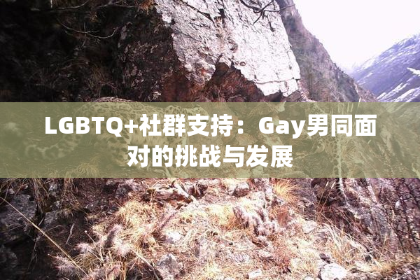 LGBTQ+社群支持：Gay男同面对的挑战与发展